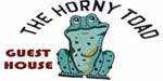 The Horny Toad Guesthouse on Simpson Bay Beach St Martin Hotels St Maarten Hotels Sint Maarten Hotels Saint Martin Hotels